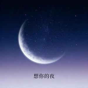 想你的夜 (鼓点版)