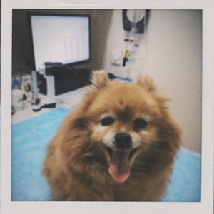 曹格-宝贝（媛宝JESS remix）