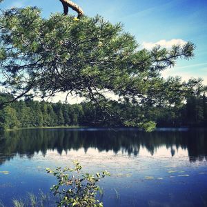 男人字典 (烟嗓男版)