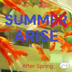 Summarise（总结）