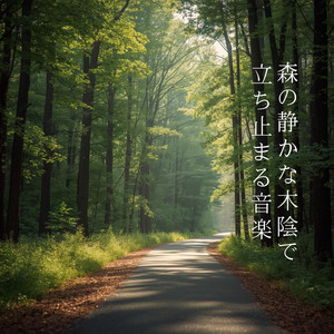 穏やかな木陰の空気