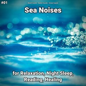 Sea Noises Pt. 88