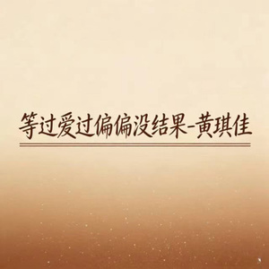等过爱过偏偏没结果 (DJ涵哈版)