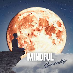 Echoes of Inner Peace