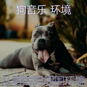 一尘不染可爱的狗印象数