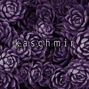 kaschmir
