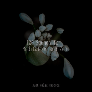 Journeying to Stillness