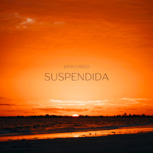 Suspendida