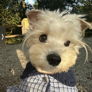 你最近还好吗.mp3