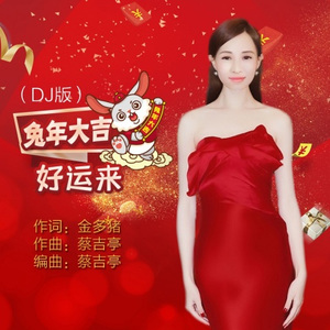 兔年大吉好运来 (DJ版)