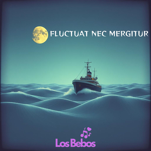 FLUCTUAT NEC MERGITUR