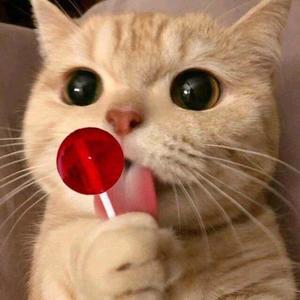 爱你不止两三天