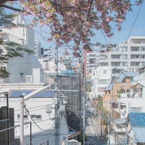 平淡日子里的刺 - 2019:3:18 下午9.29（翻自 朱星星）