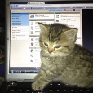 ''lock in''Ambient adturnup type beat