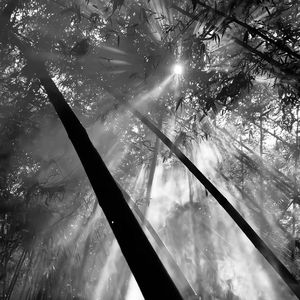 续命 Prod.by Keerad