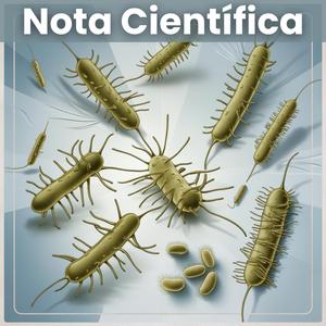 Infección Urinaria, Ardor y Malestar (Slowed and Reverb)