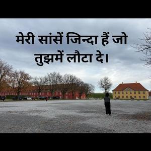 मेरी सांसें जिन्दा हैं जो तुझमें