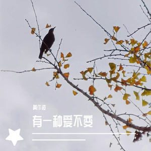 有一种爱不变
