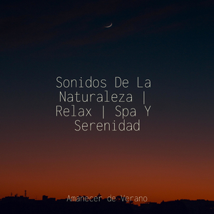 Pétalos Solitarios Bailan Suavemente