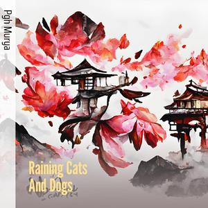 Raining Cats and Dogs
