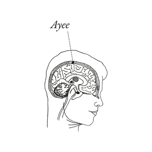 Ayee