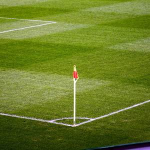 二十年（Cover 张萌萌）