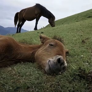 千万不要误会这可不是一首情歌