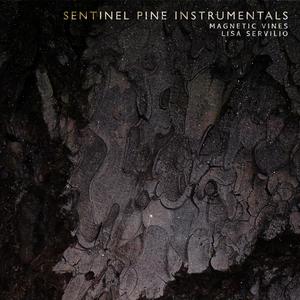 Long Sleep (Instrumental Version)