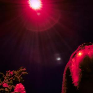 sag mir wo mein herz ist