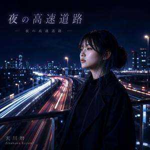 夜の高速道路
