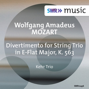 Divertimento in E-Flat Major, K. 563:I. Allegro