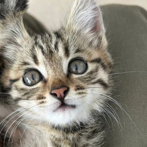 每天都要开心呐