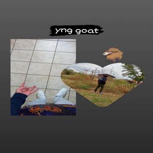 Yng Goat