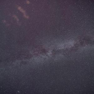 野草与凤凰鸟（prod.by 澜）