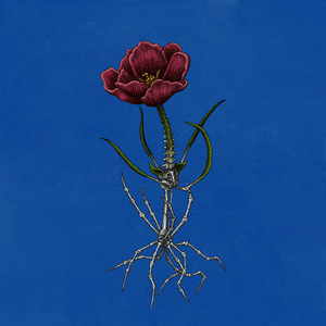 a thousand years with you