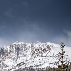 只要你开心怎么都行