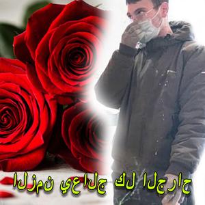 stacheldraht dystopia