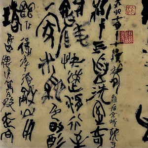 梦十五，银河小跳蛛