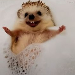 Don't Take Your Love From Me (sped up)