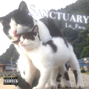 庇护所Sanctuary