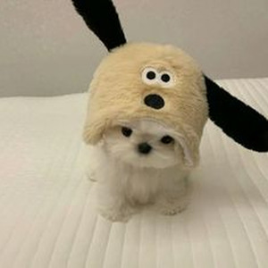 West Side Highway (slowed)