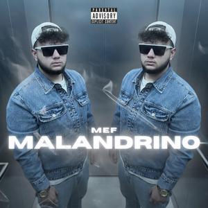 Malandrino