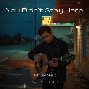 You Didn't Stay Here