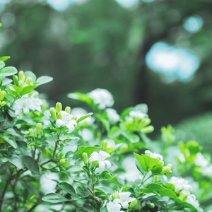 偷得浮生半日闲