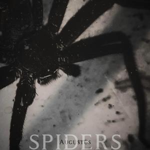 spiders