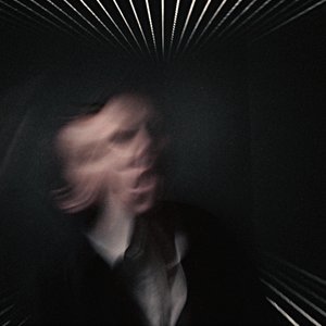 Koala Before the Storm