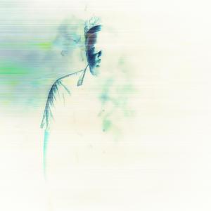 Bouquet (feat. Stacc Styles)