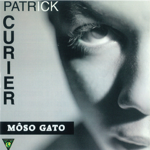 Moso gato