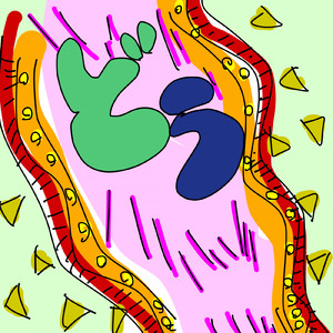 どぅいたまモーチル