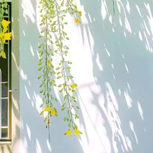 告五人-爱人错过（菜菜 remix）